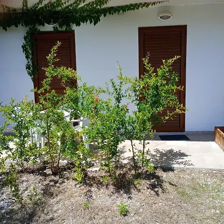 بيت ضيافة Barrumbas